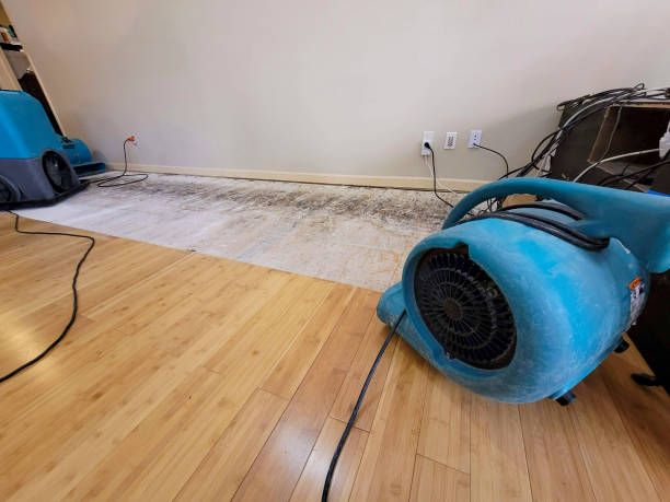 Professional Basement Flood Cleanup technician working in Coolidge, AZ